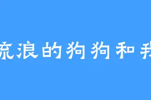 流浪的狗狗和我