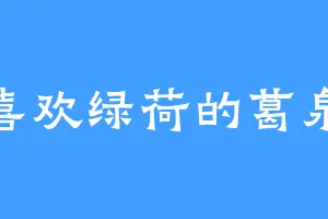 喜欢绿荷的葛泉