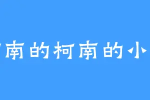 柯南的柯南的小兰