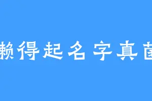 懒得起名字真菌