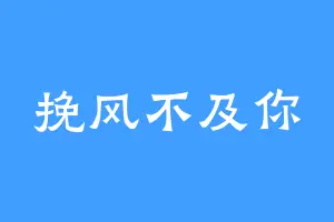 挽风不及你