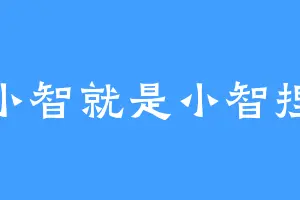 小智就是小智捏
