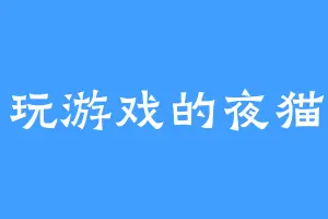 爱玩游戏的夜猫子