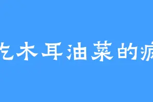 爱吃木耳油菜的疯哥