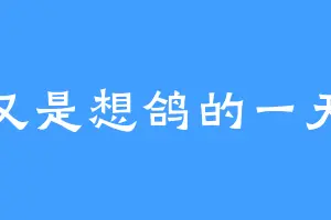 又是想鸽的一天