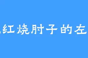 爱吃红烧肘子的左天星