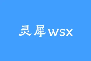 灵犀wsx