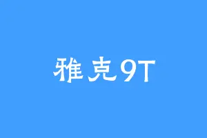 雅克9T