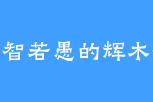 大智若愚的辉木誉