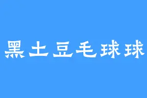 黑土豆毛球球