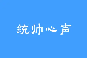 统帅心声