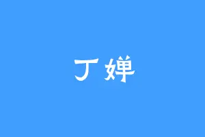 丁婵