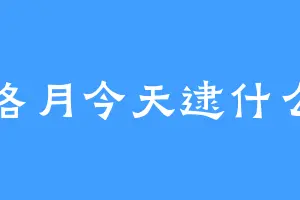洛月今天逮什么