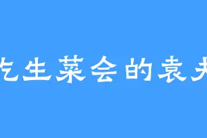 爱吃生菜会的袁夫人