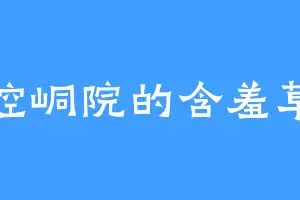 崆峒院的含羞草