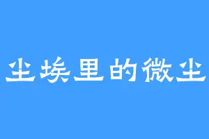 尘埃里的微尘