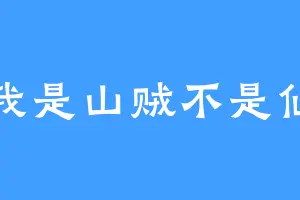 我是山贼不是仙
