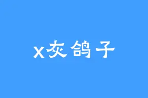 x灰鸽子
