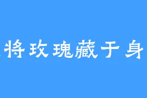 我将玫瑰藏于身后