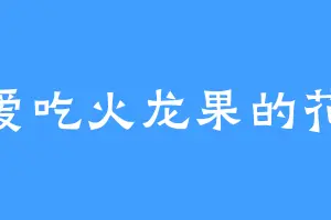 爱吃火龙果的花