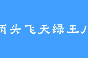 两头飞天绿王八