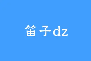笛子dz