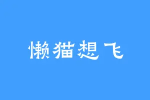 懒猫想飞