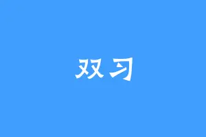 双习