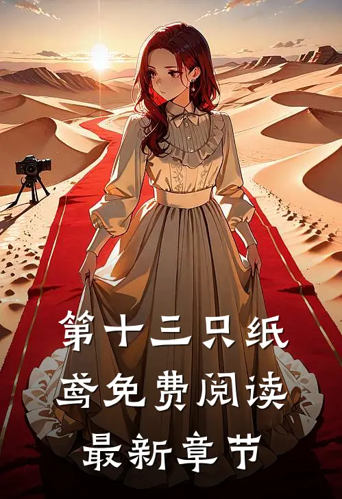 第十三只纸鸢免费阅读最新章节